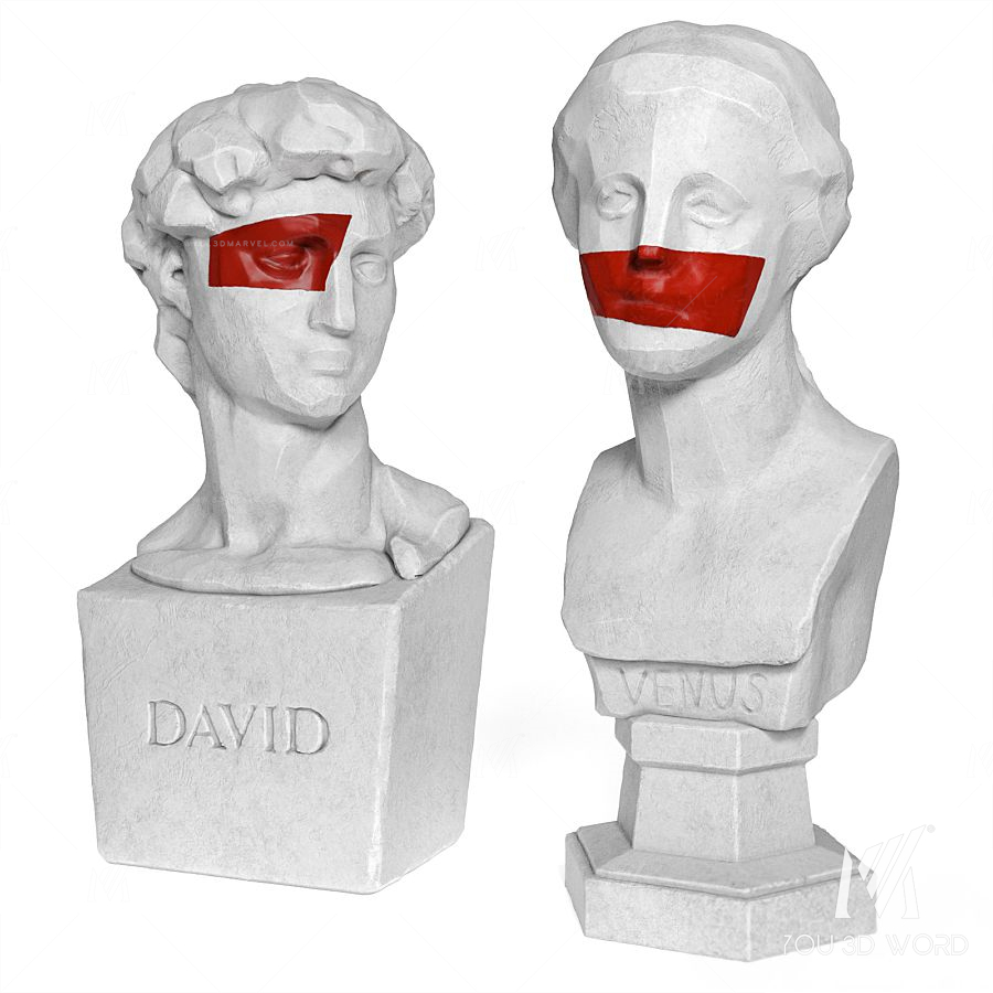 Venus and David edges bust